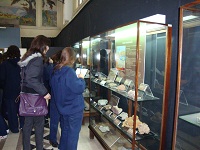 Museo Argentino de Ciencias Naturales - Foto 2