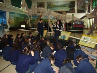 Museo Argentino de Ciencias Naturales - Foto 3