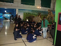 Museo Argentino de Ciencias Naturales - Foto 4